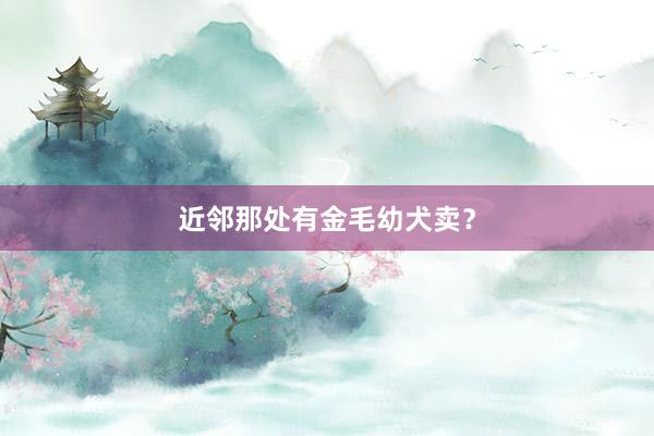 近邻那处有金毛幼犬卖？